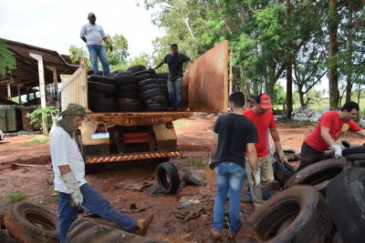 AGENTES DE CONTROLE DE ENDEMIAS REALIZAM A COLETA DE PNEUS NA USINA DE RECICLAGEM.  