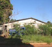 Encontrada uma cobra em um terreno da Vila Rosa