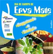 Erva-mate terá dia de campo em Iguatemi