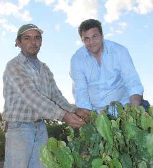 Prefeito visita produção de Urucum, no Rancho Loma