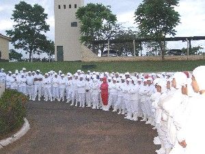 Frigoríficos Frialto entram com pedido de recuperação judicial