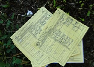 Postos de saúde são alvos de ataques de marginais em Iguatemi.