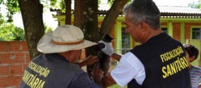 Sexta-Feira é a vez da Vila Nova Esperança receber a vacinação Anti-Rábica.