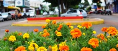 Secretaria de Obras revitaliza canteiros centrais e torna mais belas as suas paisagens.