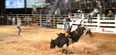 Rodeio revela grandes talentos e garante emoção na Feira do Leite.