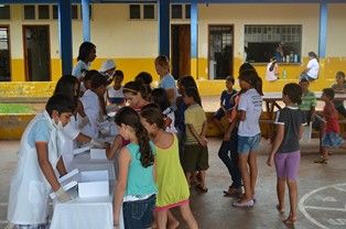 Alunos do PETI realizaram o Projeto Insetário 