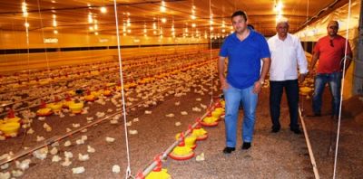 Frango Bello está ampliando de 16 para 24 aviários em Iguatemi.