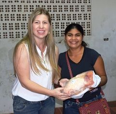 ASSISTÊNCIA SOCIAL, ATRAVÉS DO CRAS, FAZ ENTREGA DE FRANGOS E CESTAS BÁSICAS  ÀS FAMÍLIAS CADASTRADAS NO PAIF. 