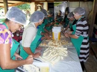 AGRAER ESTÁ PROMOVENDO CURSO DE DERIVADOS DE MANDIOCA NO P.A. AUXILIADORA