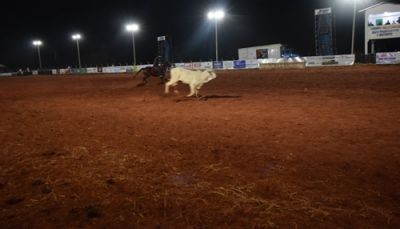 4º ENCOTRO DO CLUBE DE LAÇO ESTRÊLA, CONTOU COM A PARTICIPAÇÃO DE 380 LAÇADORES.