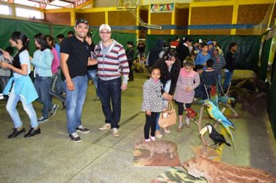 LABIRINTO AMBIENTAL MOVIMENTOU GINÁSIO DE ESPORTES DO DIA 29/06 A 02/07/2015.