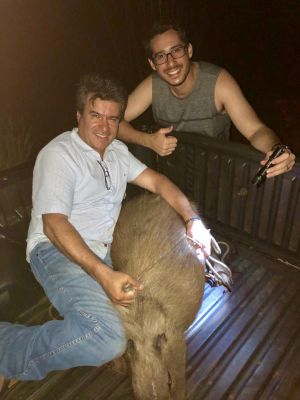 CAPIVARA É RESGATADA EM AVENIDA NO CENTRO DE IGUATEMI.