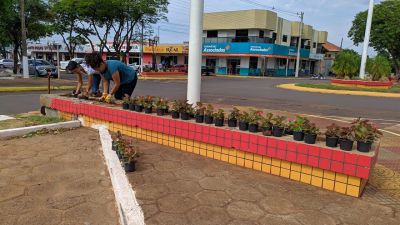  SECRETARIA DE OBRAS REALIZA REPLANTIO DE MUDAS NAS FLOREIRAS.