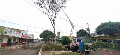 ATENDENDO PEDIDO DA PREFEITURA, ENERGISA FAZ RETIRADA DE ÁRVORES EM SITUAÇÃO DE RISCO.