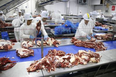 FRIGORÍFICO AGROINDUSTRIAL ESTÁ CONTRATANDO FUNCIONÁRIOS COM EXPERIÊNCIA.