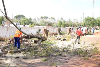 SECRETARIA DE OBRAS ESTÁ REVITALIZANDO E READEQUANDO O CEMITÉRIO MUNICIPAL.