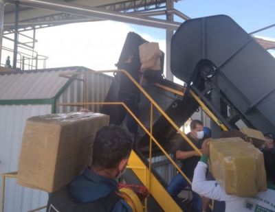 VIGILÂNCIA SANITÁRIA ACOMPANHA INCINERAÇÃO DE QUASE UMA TONELADA DE MACONHA