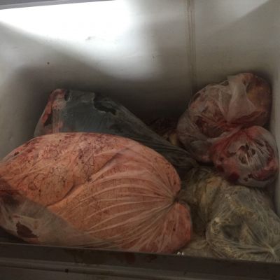 VIGILÂNCIA SANITÁRIA REALIZOU APREENSÃO DE PRODUTOS EM ABATEDOURO CLANDESTINO.
