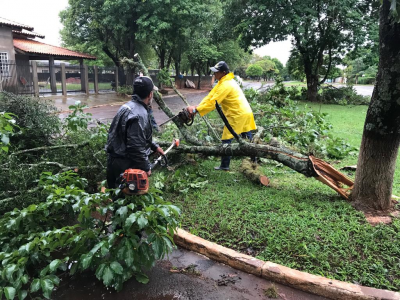 TEMPESTADE E VENTANIA DEIXOU DESTRUIÇÃO NA REDE ELÉTRICA E ÁRVORES ARRANCADAS PELAS RAÍZES EM IGUATEMI.