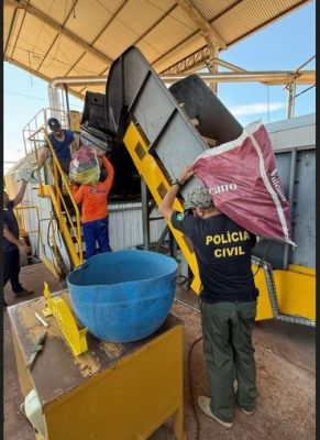 POLÍCIA CIVIL DE IGUATEMI INCINERA MAIS DE 1,5 TONELADAS DE ENTORPECENTES NA MANHÃ DESTA QUARTA-FEIRA (12).