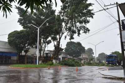 SECRETÁRIO MUNICIPAL DE OBRAS ESCLARECE SOBRE RETIRADA DE ÁRVORES NA AVENIDA GELSON ANDRADE MOREIRA