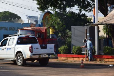 PODA RACIONAL DE GALHOS DE ÁRVORES MELHORAM ILUMINAÇÃO PÚBLICA EM RUAS E AVENIDAS.