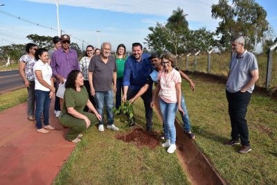 PREFEITURA DE IGUATEMI REALIZA PLANTIO DE MUDAS DE IPÊ ROXO NA ENTRADA DA CIDADE.