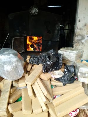POLÍCIA CIVIL INCINERA QUASE UMA TONELADA DE ENTORPECENTES EM IGUATEMI.
