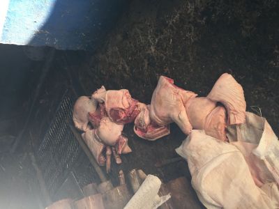 VIGILÂNCIA SANITÁRIA REALIZA APREENSÃO DE CARNE IMPRÓPRIA PARA O CONSUMO