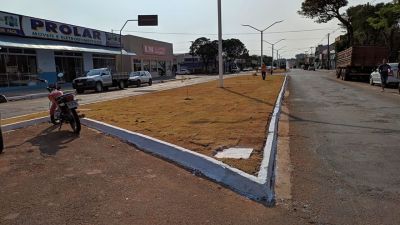 ATO DE VANDALISMO AMEAÇA ARBORIZAÇÃO NA AVENIDA GELSON ANDRADE MOREIRA.