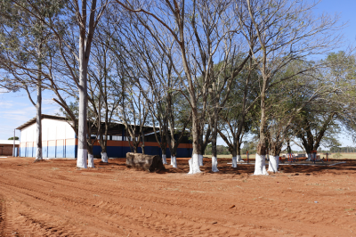 PREFEITURA MANTÉM AGENDA DE LIMPEZA URBANA