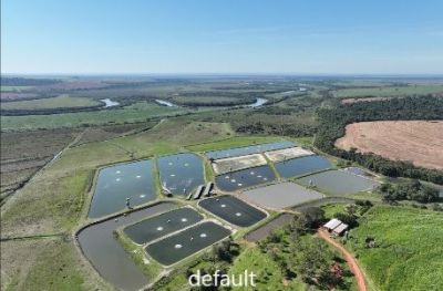 Secretário de Desenvolvimento Econômico de Iguatemi visita Omega Fish, Frigorífico de Peixes de Mundo Novo.