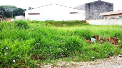 APÓS DENÚNCIAS, VIGILÂNCIA SANITÁRIA NOTIFICA E MULTA PROPRIETÁRIOS DE TERRENOS BALDIOS SUJOS.