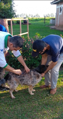 VIGILÂNCIA SANITÁRIA REALIZA VACINAÇÃO ANTIRRÁBICA NA ÁREA RURAL DO MUNICÍPIO.