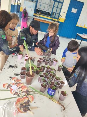 ALUNOS E PROFESSORES DA EDUCAÇÃO INFANTIL DESENVOLVEM PROJETO DE HORTA COM O PLANTIO DE ERVAS MEDICINAIS.